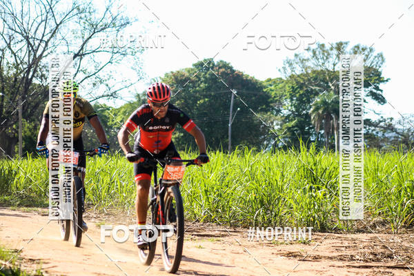 Buy your photos of the eventWolf Series - Botucatu on Fotop