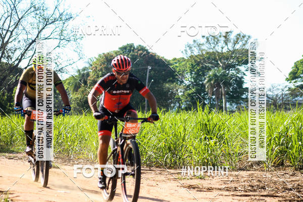 Buy your photos of the eventWolf Series - Botucatu on Fotop