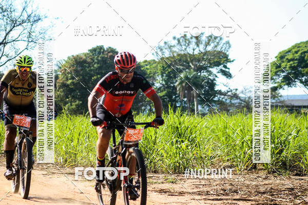 Buy your photos of the eventWolf Series - Botucatu on Fotop