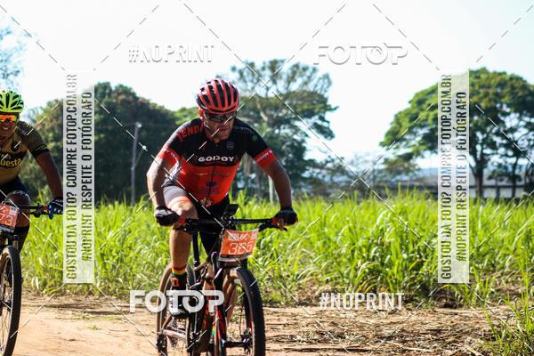 Buy your photos of the eventWolf Series - Botucatu on Fotop