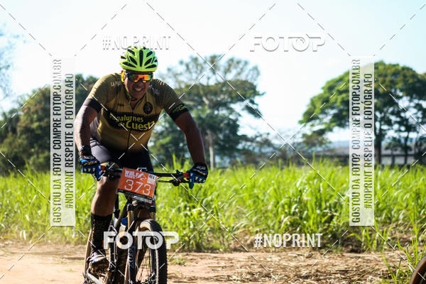 Buy your photos of the eventWolf Series - Botucatu on Fotop