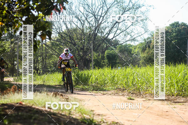 Buy your photos of the eventWolf Series - Botucatu on Fotop