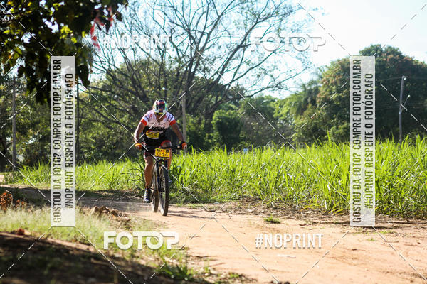 Buy your photos of the eventWolf Series - Botucatu on Fotop