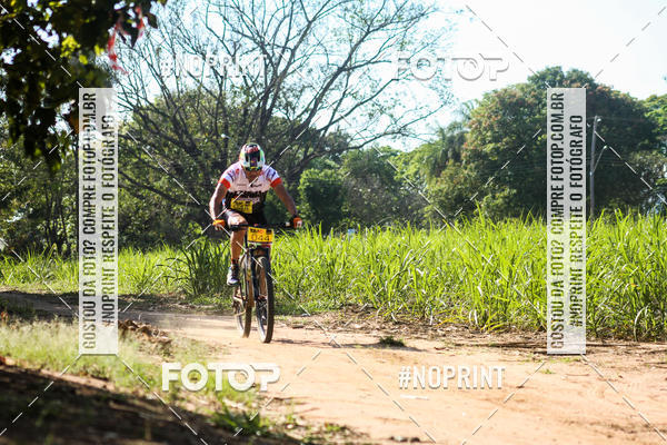 Buy your photos of the eventWolf Series - Botucatu on Fotop