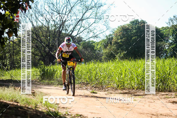 Buy your photos of the eventWolf Series - Botucatu on Fotop