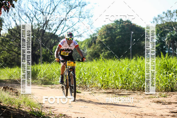 Buy your photos of the eventWolf Series - Botucatu on Fotop