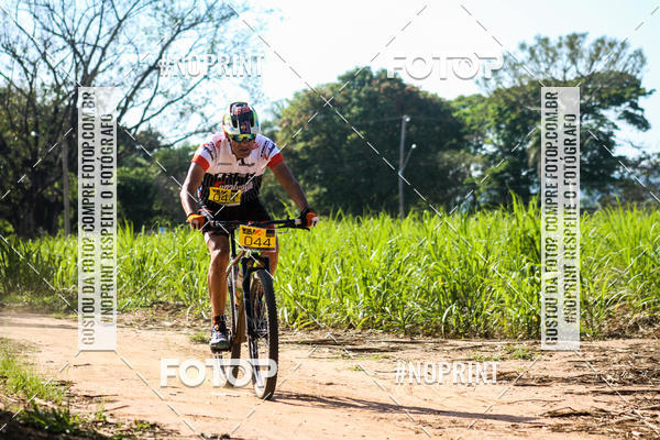 Buy your photos of the eventWolf Series - Botucatu on Fotop