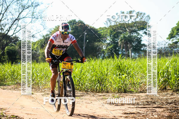 Buy your photos of the eventWolf Series - Botucatu on Fotop