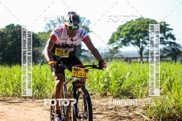 Buy your photos of the eventWolf Series - Botucatu on Fotop