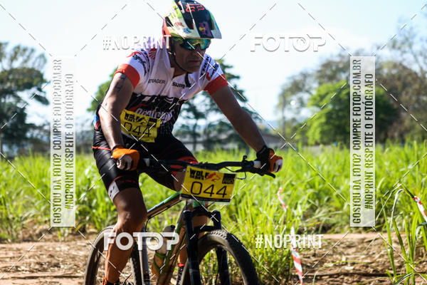 Buy your photos of the eventWolf Series - Botucatu on Fotop