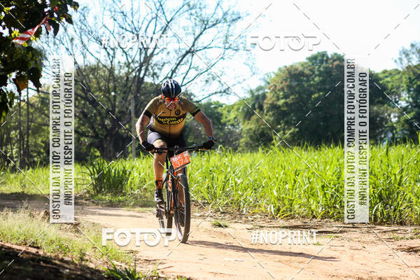 Buy your photos of the eventWolf Series - Botucatu on Fotop