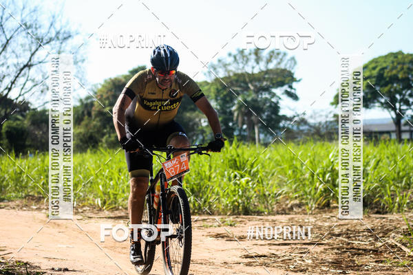 Buy your photos of the eventWolf Series - Botucatu on Fotop