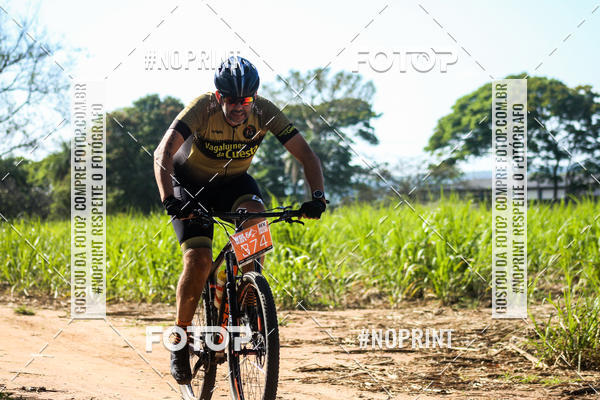 Buy your photos of the eventWolf Series - Botucatu on Fotop