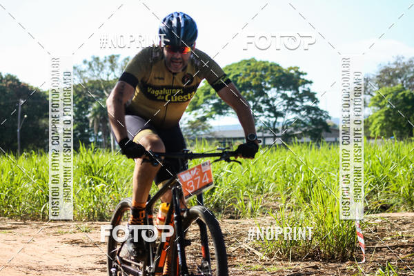 Buy your photos of the eventWolf Series - Botucatu on Fotop