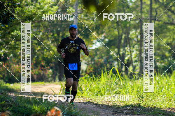 Buy your photos of the eventWolf Series - Botucatu on Fotop