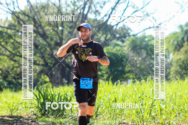 Buy your photos of the eventWolf Series - Botucatu on Fotop