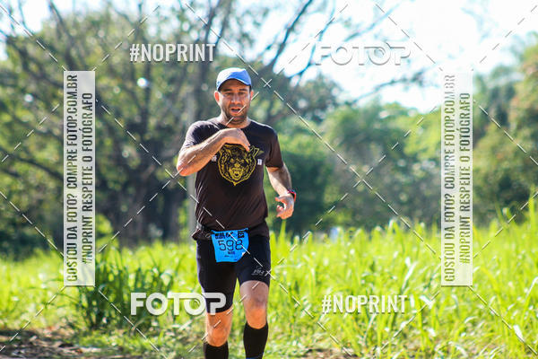 Buy your photos of the eventWolf Series - Botucatu on Fotop