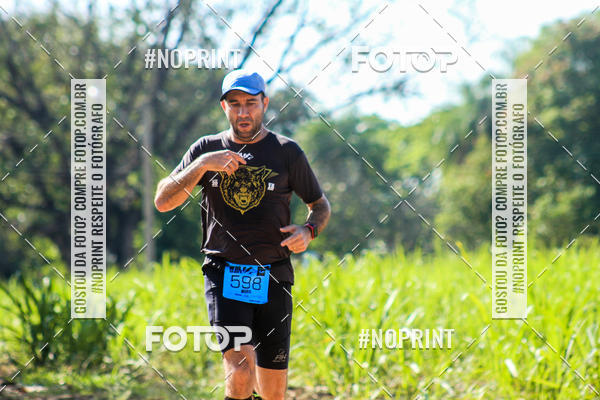 Buy your photos of the eventWolf Series - Botucatu on Fotop