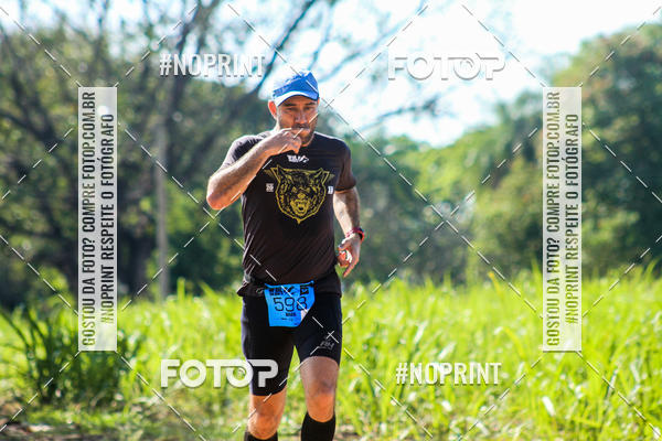 Buy your photos of the eventWolf Series - Botucatu on Fotop