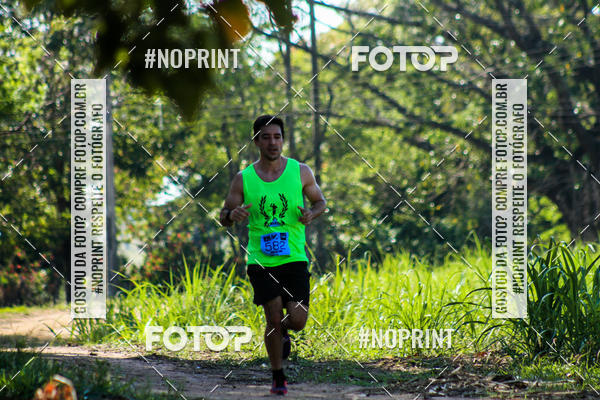 Buy your photos of the eventWolf Series - Botucatu on Fotop