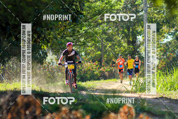 Buy your photos of the eventWolf Series - Botucatu on Fotop