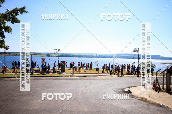 Buy your photos of the eventWolf Series - Botucatu on Fotop