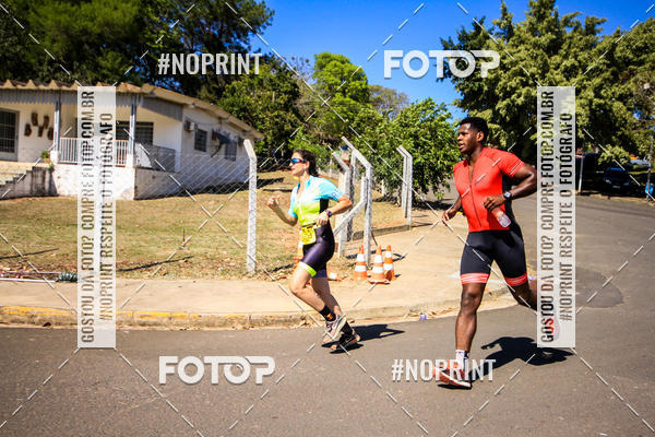 Buy your photos of the eventWolf Series - Botucatu on Fotop