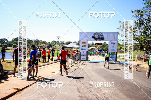 Buy your photos of the eventWolf Series - Botucatu on Fotop