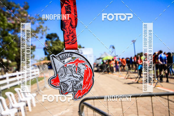 Buy your photos of the eventWolf Series - Botucatu on Fotop