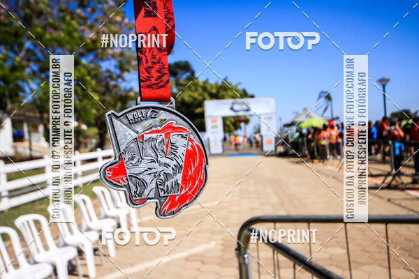 Buy your photos of the eventWolf Series - Botucatu on Fotop