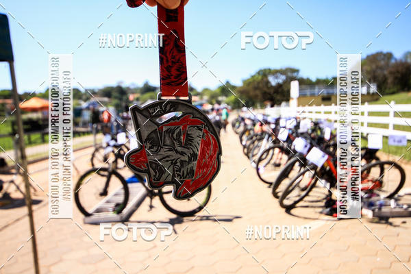 Buy your photos of the eventWolf Series - Botucatu on Fotop