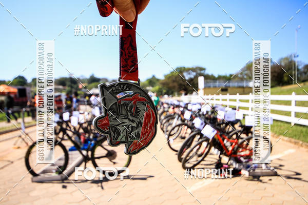 Buy your photos of the eventWolf Series - Botucatu on Fotop