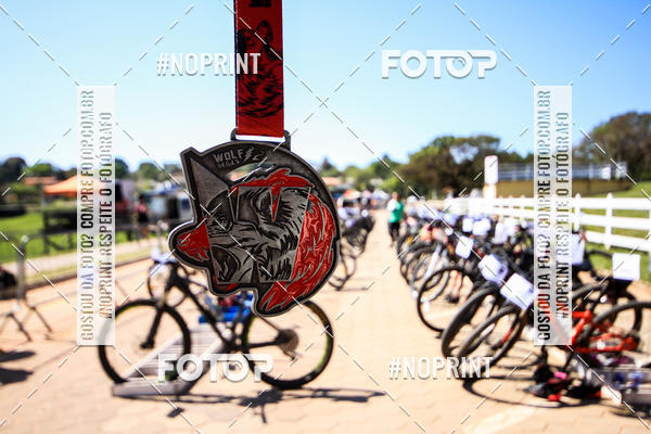 Buy your photos of the eventWolf Series - Botucatu on Fotop