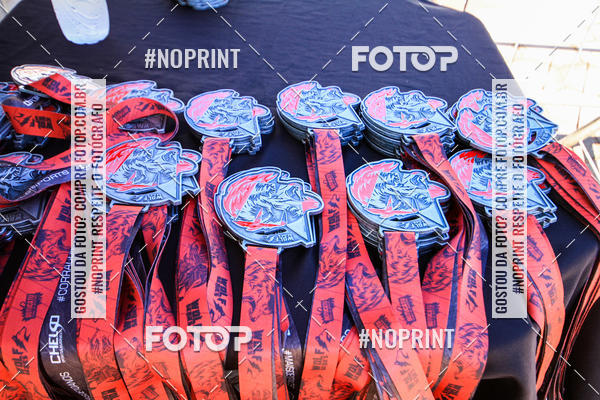 Buy your photos of the eventWolf Series - Botucatu on Fotop