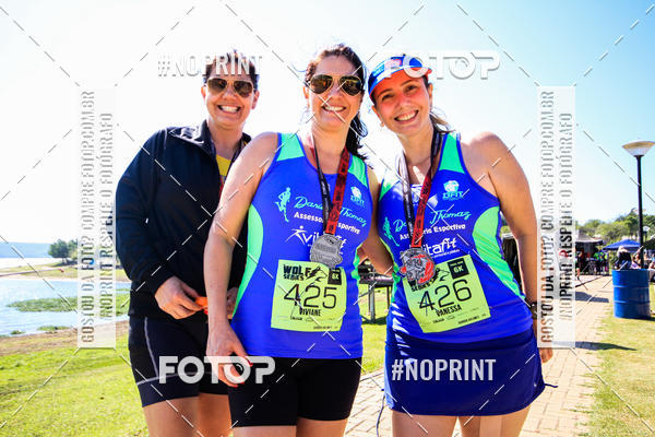 Buy your photos of the eventWolf Series - Botucatu on Fotop