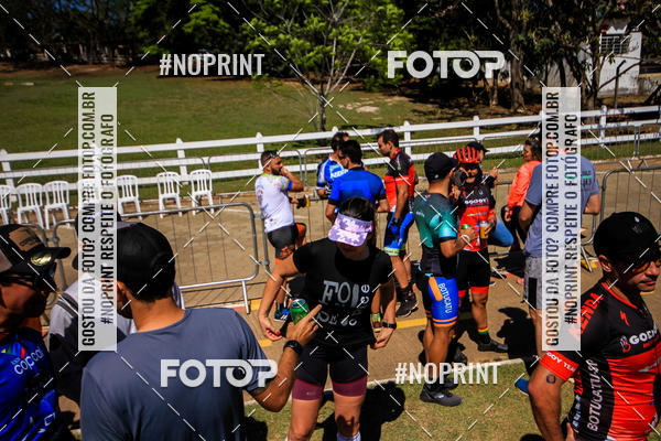 Buy your photos of the eventWolf Series - Botucatu on Fotop