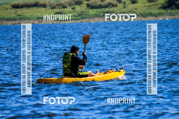 Buy your photos of the eventWolf Series - Botucatu on Fotop