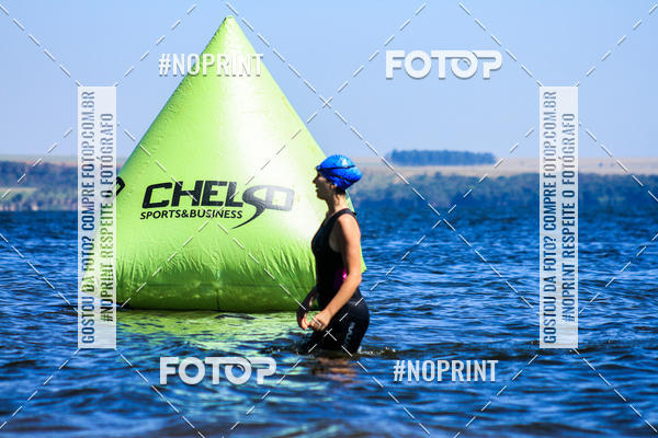 Buy your photos of the eventWolf Series - Botucatu on Fotop