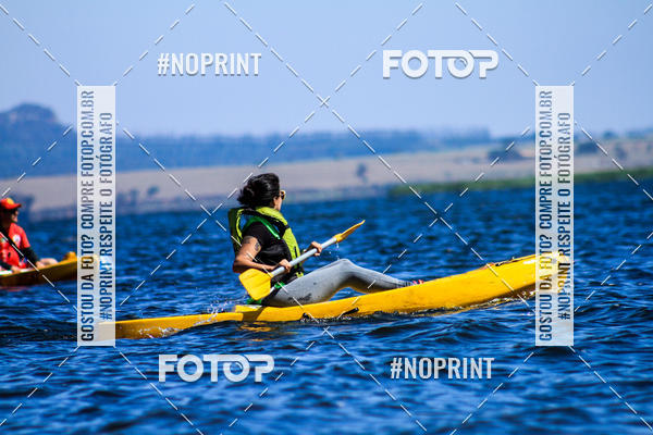 Buy your photos of the eventWolf Series - Botucatu on Fotop