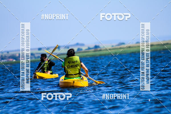 Buy your photos of the eventWolf Series - Botucatu on Fotop