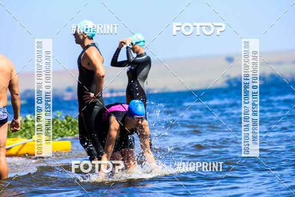 Buy your photos of the eventWolf Series - Botucatu on Fotop