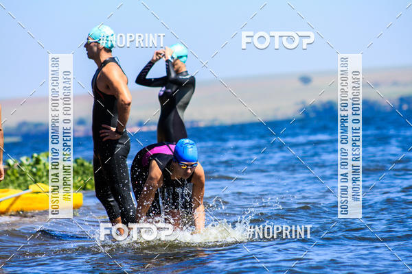 Buy your photos of the eventWolf Series - Botucatu on Fotop