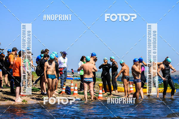 Buy your photos of the eventWolf Series - Botucatu on Fotop