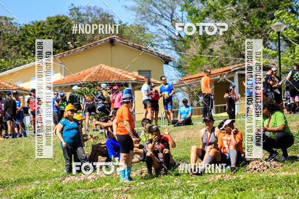 Buy your photos of the eventWolf Series - Botucatu on Fotop