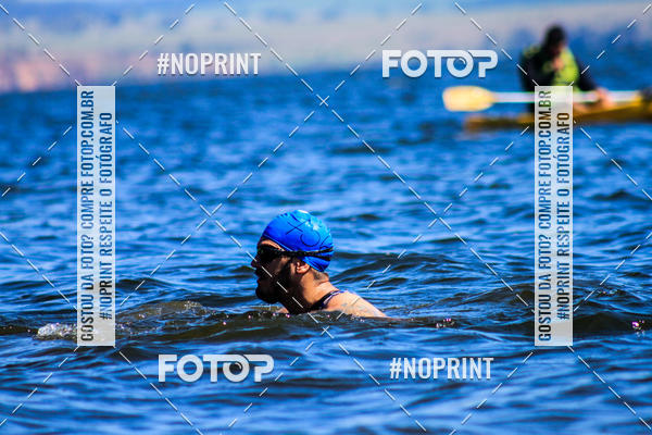 Buy your photos of the eventWolf Series - Botucatu on Fotop