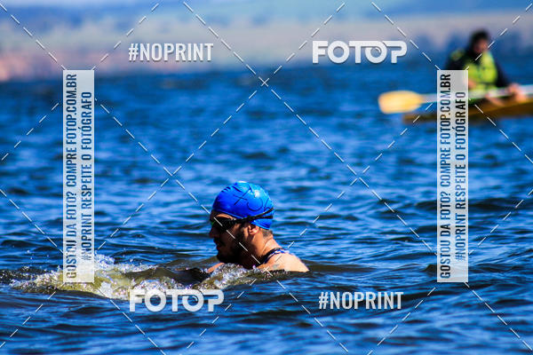 Buy your photos of the eventWolf Series - Botucatu on Fotop