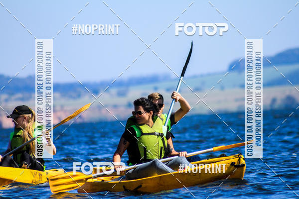 Buy your photos of the eventWolf Series - Botucatu on Fotop