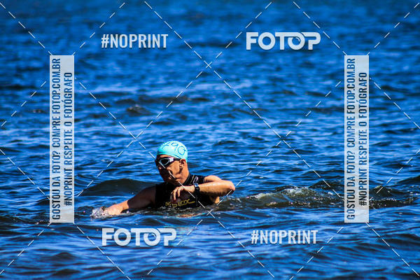 Buy your photos of the eventWolf Series - Botucatu on Fotop
