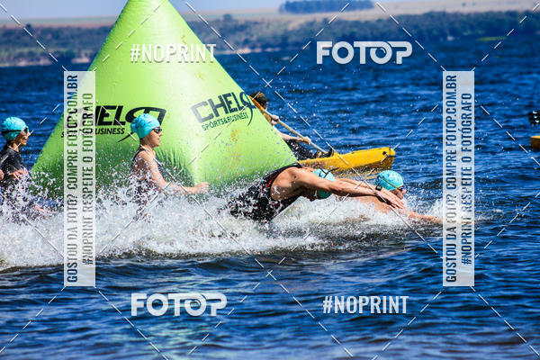 Buy your photos of the eventWolf Series - Botucatu on Fotop