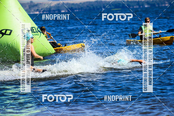 Buy your photos of the eventWolf Series - Botucatu on Fotop